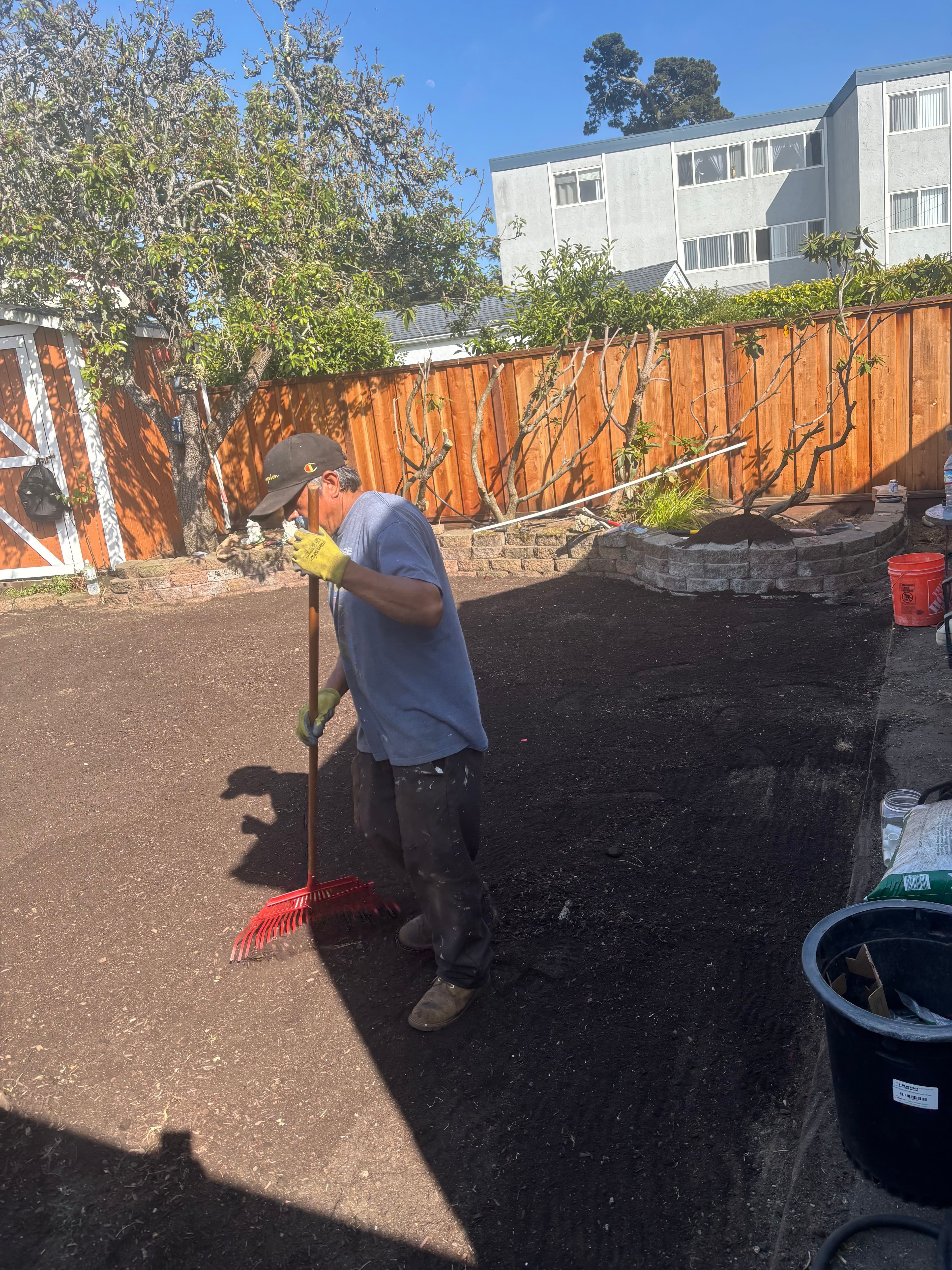 Man raking soil in a backyard, preparing for landscaping with trees and buildings in background.
