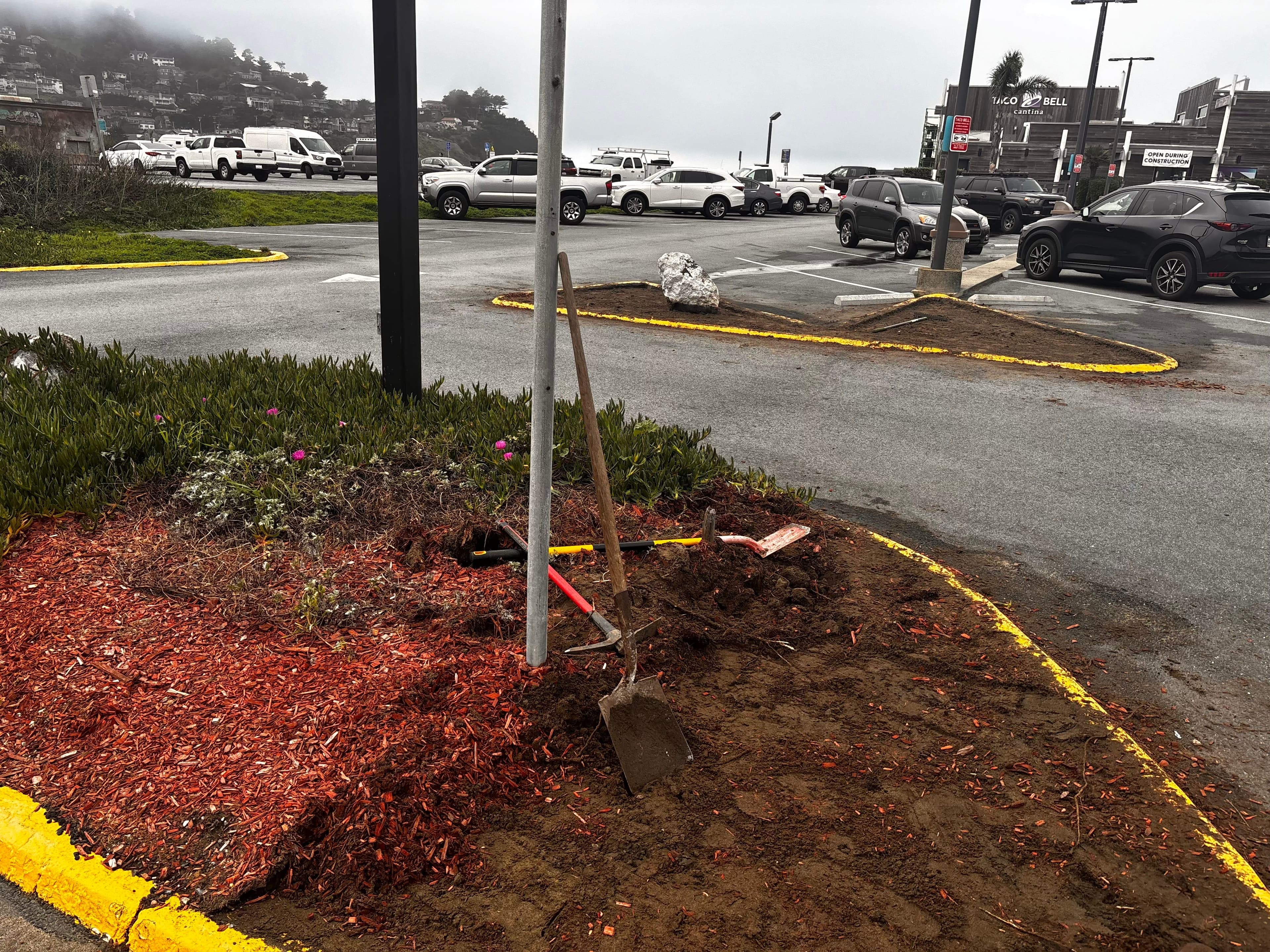 Landscape area with fresh mulch, a shovel, and plants near a parking lot.