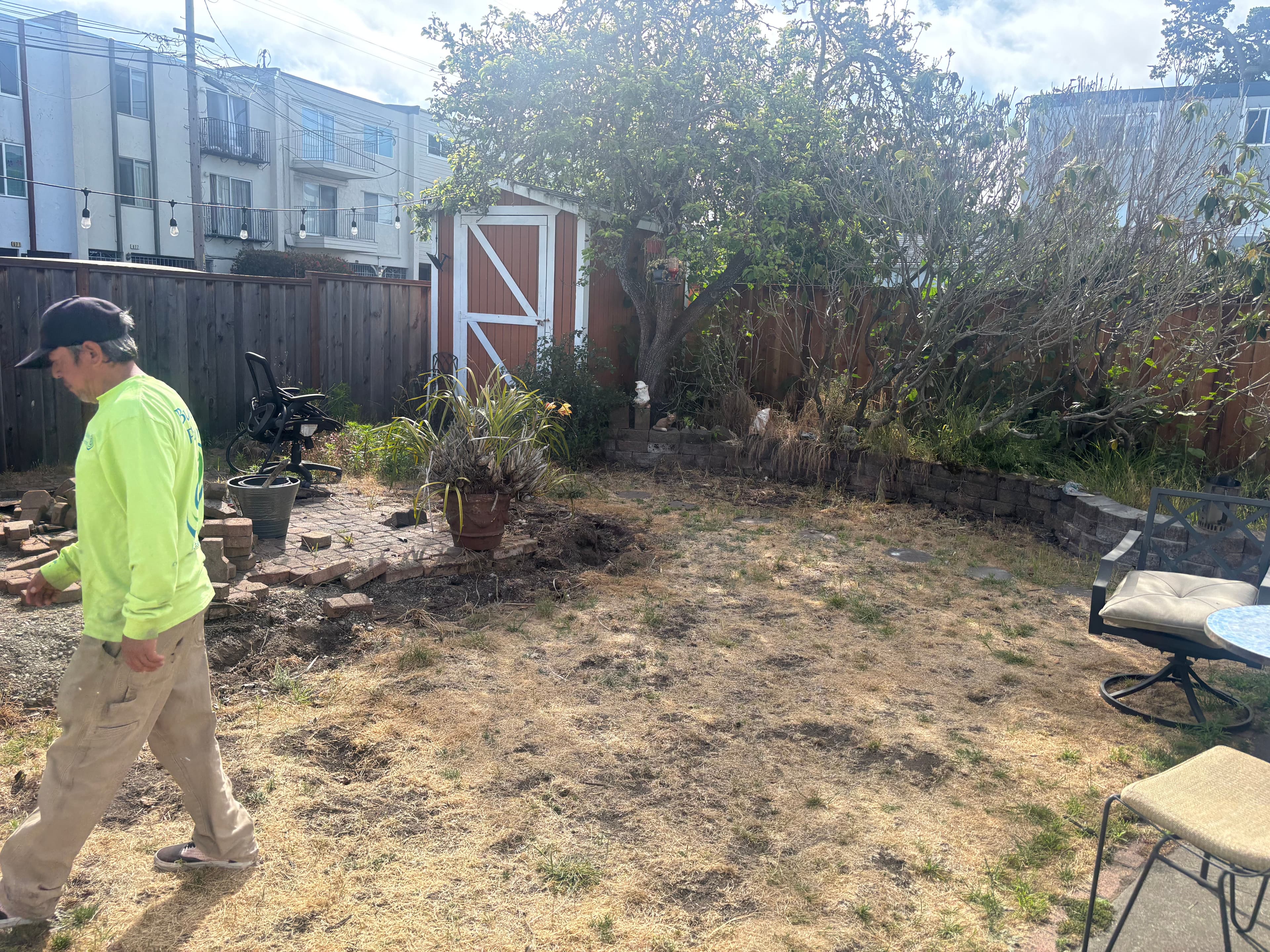 Person landscaping a dry backyard with a shed and plants under a cloudy sky.