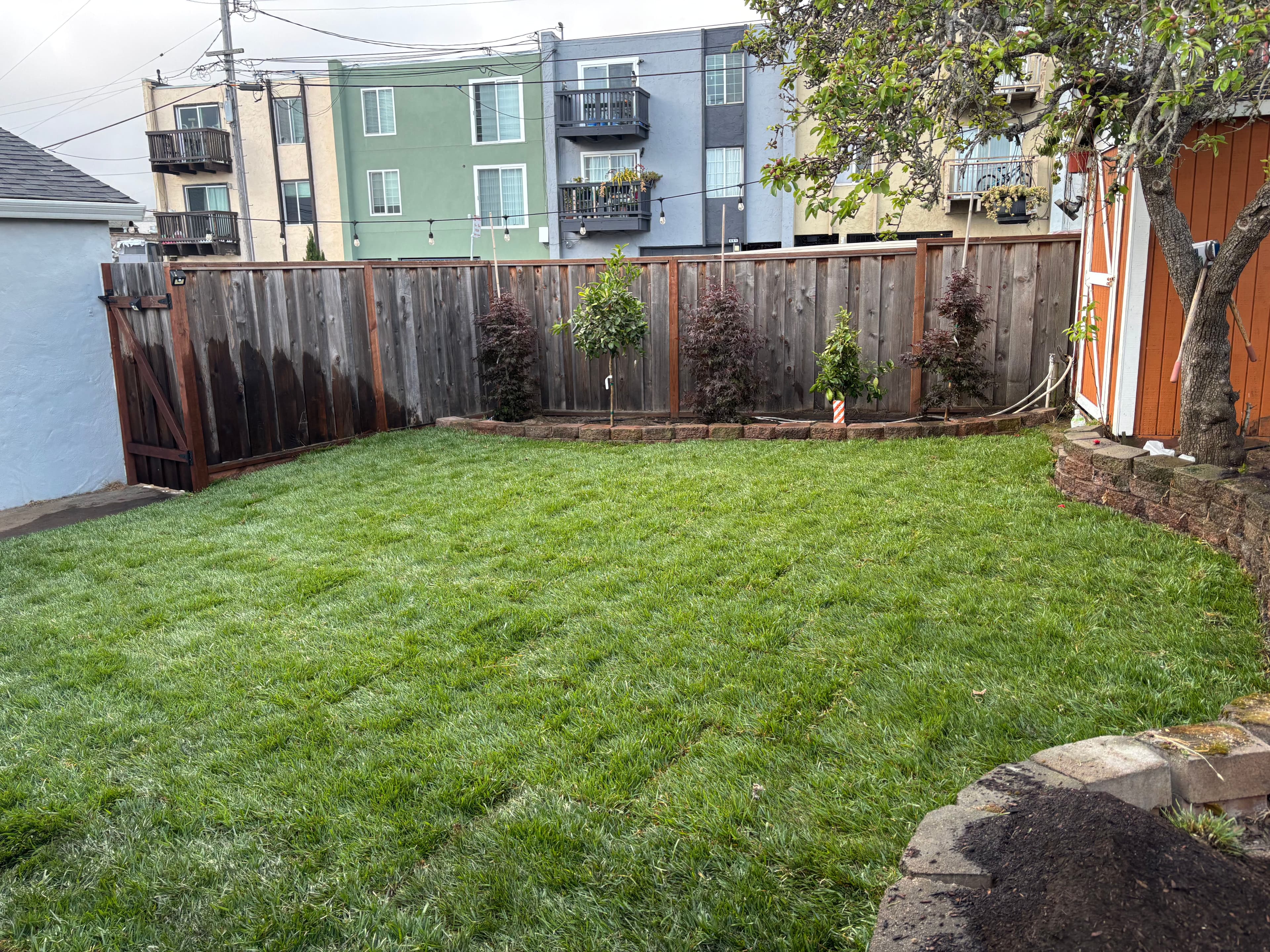 Lush green backyard with garden beds and colorful apartment buildings in the background.