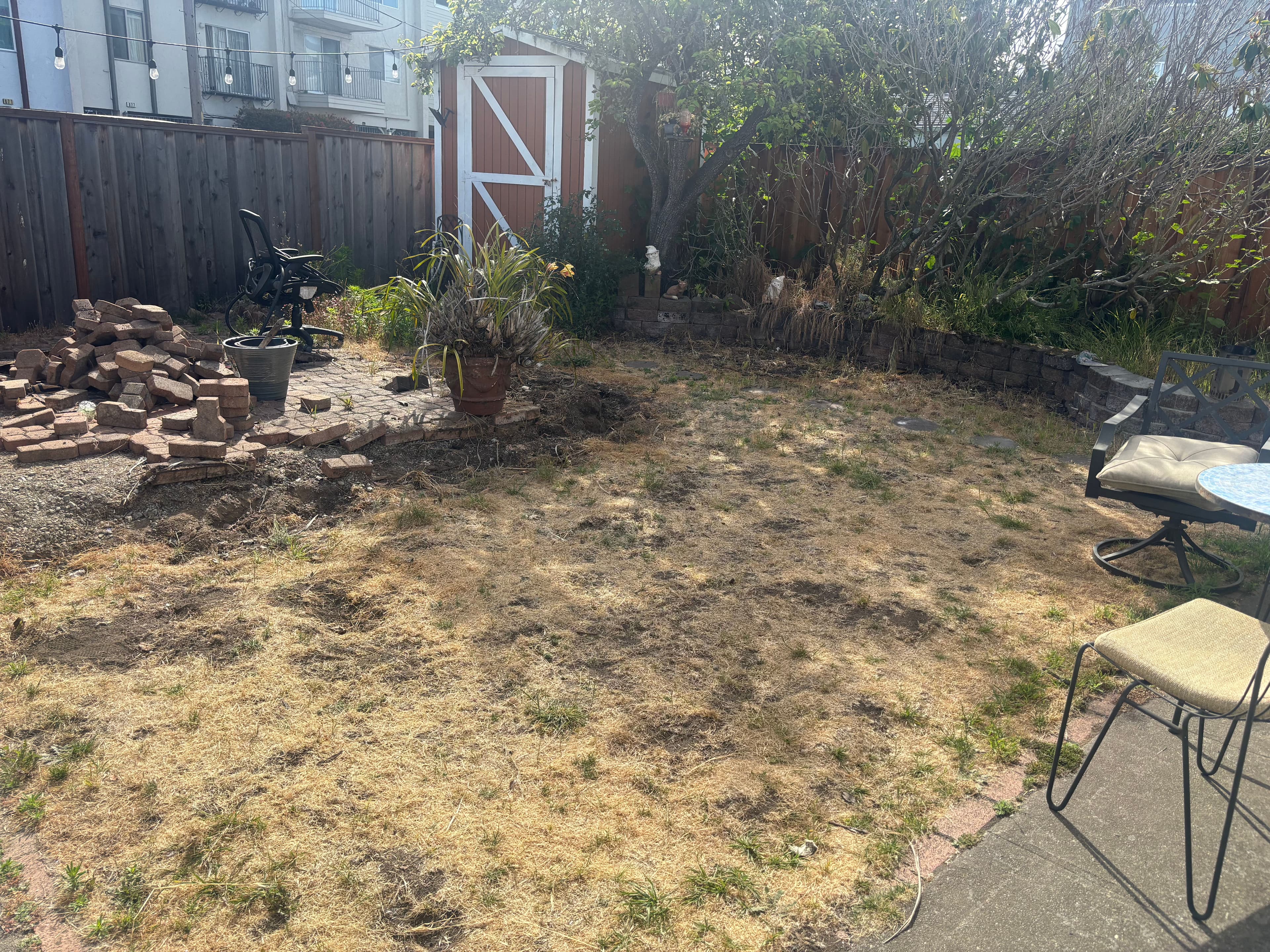 Dry, patchy backyard with potted plants, a shed, and patio furniture. Unkempt garden area.