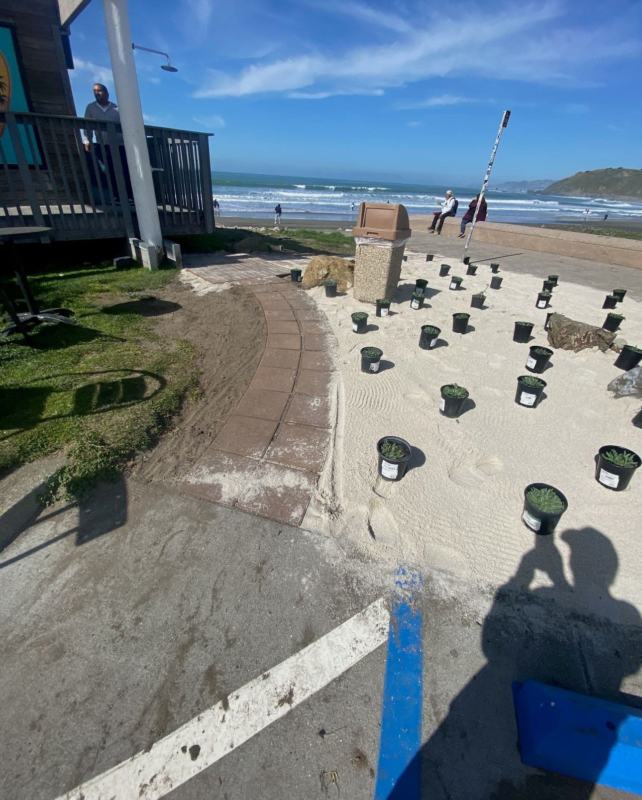 Coastal landscape with potted plants, beach, and waves in the background on sunny day.