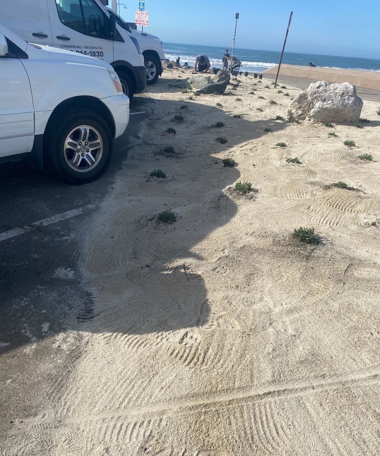 Vehicles parked near a sandy beach with rocks and vegetation in the foreground.